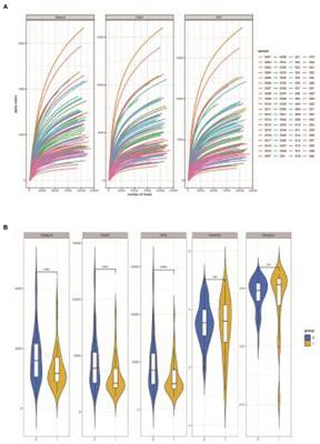 Investigation on the Pathological Mechanism of Frequent Exacerbators With Chronic Obstructive Pulmonary Disease Based on the Characteristics of Respiratory Flora